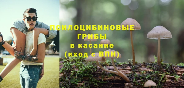 стаф Володарск