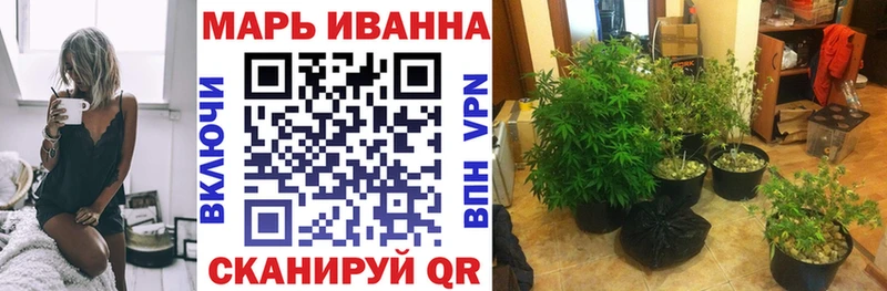 купить  цена  Альметьевск  Шишки марихуана Amnesia 